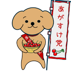 Agasuke dog Rosie the toypooh