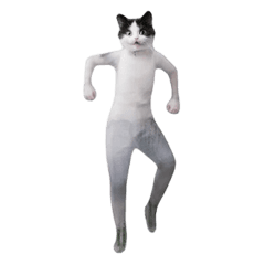 dancing cat man