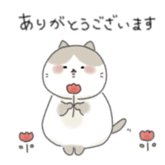 cat daily sticker-polite Japanese-