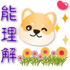 Cute Shiba - Common phrases