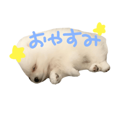 hohyoka_20240501082134