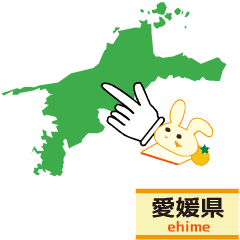 Rabbit Ehime prefecture