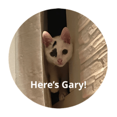 Here’s Gary!