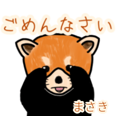 Masaki's lesser panda