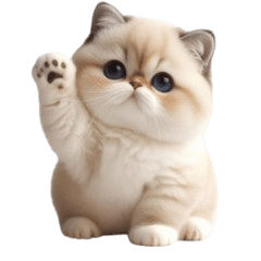 Cream Cat Funny Emoji Stickers,