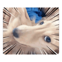 Yasagure puppy, moving sticker