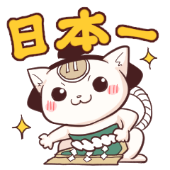 sumo of cat