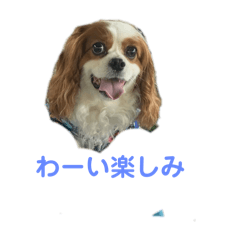 Miya38_20240501182650