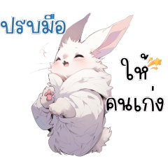 Big boy white rabbit