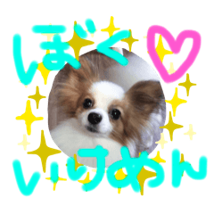 yuitan_20240501201719