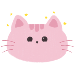 fluffy pinky kitten
