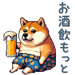Alcohol Shiba dog