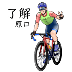 Haraguchi's realistic bicycle