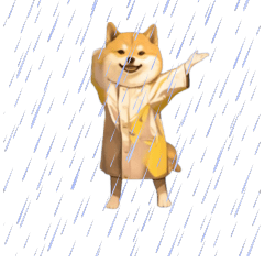 動く！踊る柴犬ミーム(雨編)