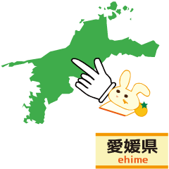Rabbit Ehime prefecture POP UP