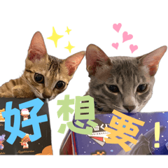 幸福喵生 ver. 2.0 - Cookie & Bambi