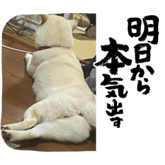 Misachi_20240502232825