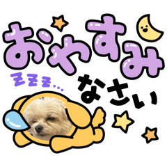 big big_20240502210932