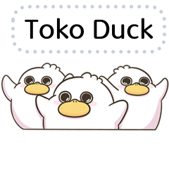 Toko Duck