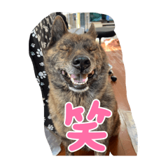 kairyouma_20240503084702