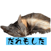 rittontan_20240503001047