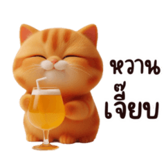 Kimbap, the cute orange cat
