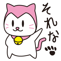 Cute funny pink cat
