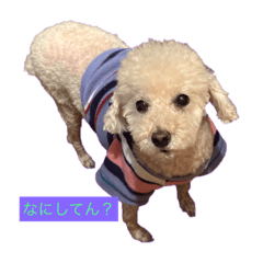 nanairo_20240503203615