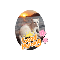 Michiko_20240504085643