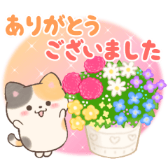 Cats with flowers and plants