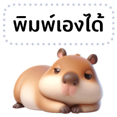 Cute Capybara (Message)