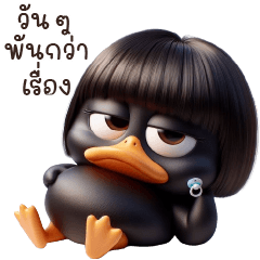 Black Duck Many Moods
