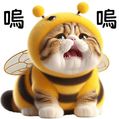 Fat Cat BeeBee [TW]