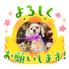 minagawa_20240504141550