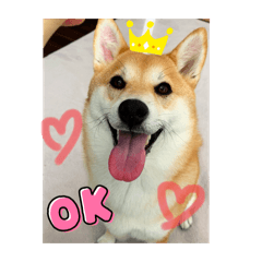 Sayuri_20240504203655