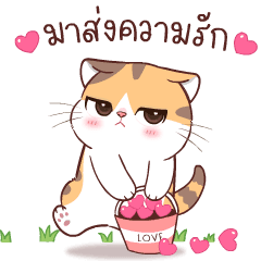 สอยดาวไงจะใครล่ะ 6