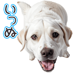 Dog Sticker-1JP(40types)