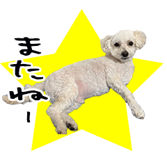 K sama's kawaii sticker