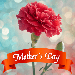 Happy Mother's Day and Father's Day