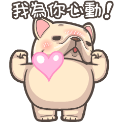 สติ๊กเกอร์ไลน์ French Bulldog PIGU-Animated Sticker 27