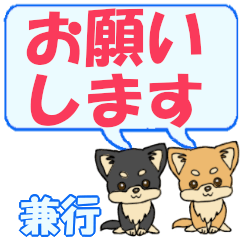 Kaneyuki's letters Chihuahua2