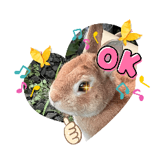 greeting cuterabbit
