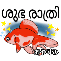 可愛い金魚たち(マラヤーラム語と日本語)