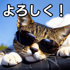 sunglasses cat sticker