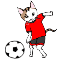 Boys cat soccer club