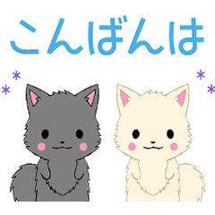 Ruki-Pomeranian6-pop