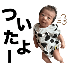 kazukae_20240504200615