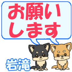 Iwataki's letters Chihuahua2