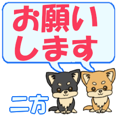 Futakata's letters Chihuahua2