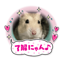 hamster stamp4